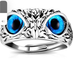 Brand NEW Demon Eye Antique Alloy Owl Ring